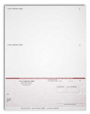 Business Checks Template